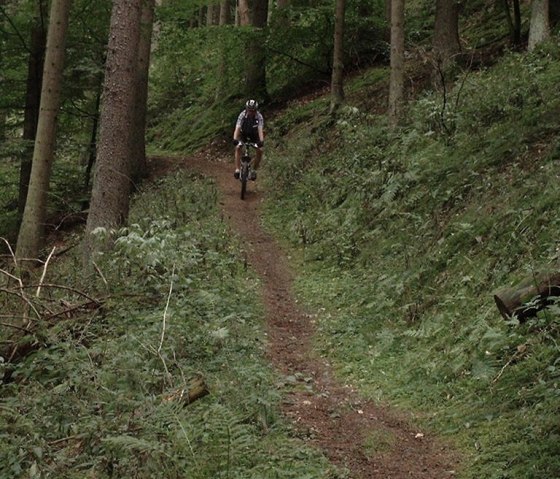 Wandern oder Mountainbiken