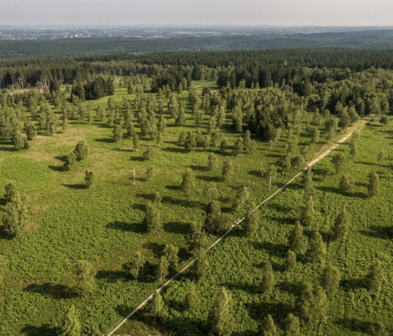 Der Wanderweg Struffeltroute aus der Vogelperspektive, © Eifel Tourismus GmbH/D. Ketz