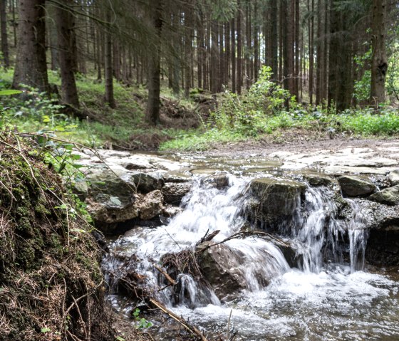 Eifelspur Münstereifelsteig - Bülgesbach, © Nordeifel Tourismus GmbH