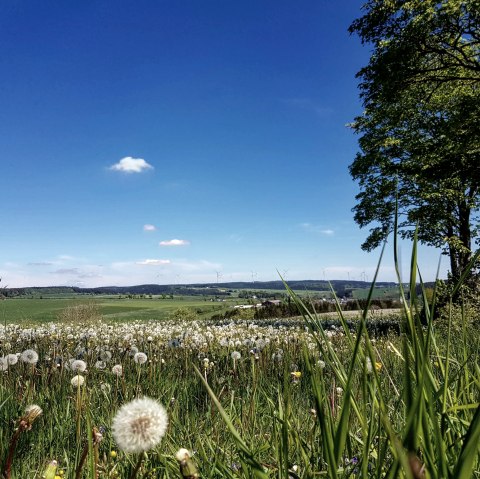 Panorama-Landschaft bei Olzheim, © Tourist-Information Prümer Land/ Sebastian Wiesen