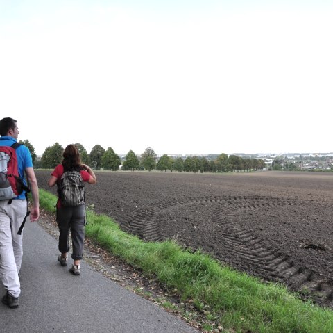 Römerkanal-Wanderweg Etappe 7, © Wandermagazin/ N. Glatter