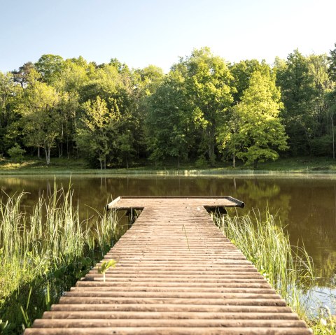 Lac de cratère Windsborn, © GesundLand Vulkaneifel GmbH