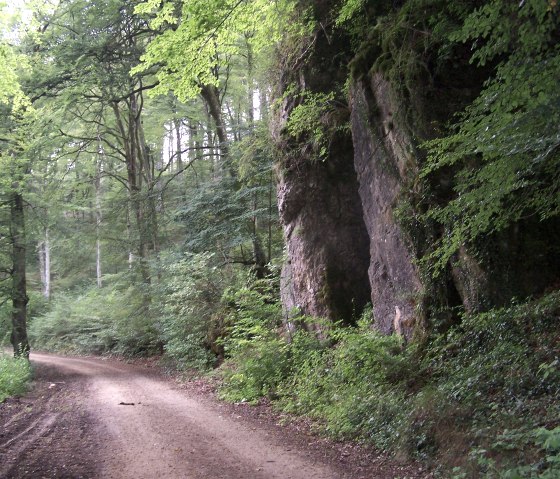 Wandern Schönecker Schweizl, © Naturpark Nordeifel Geschäftsstelle Prüm