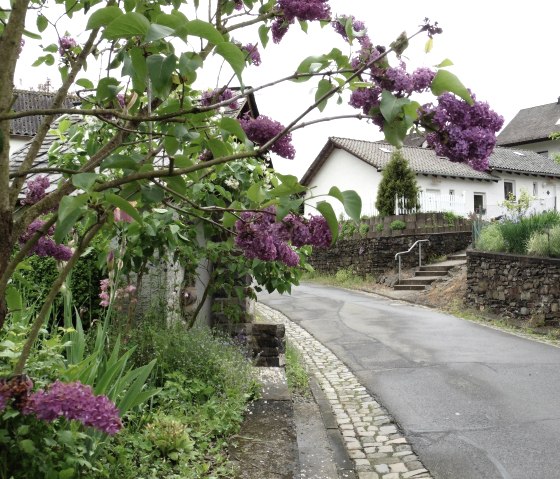 Hausansicht von der Straße