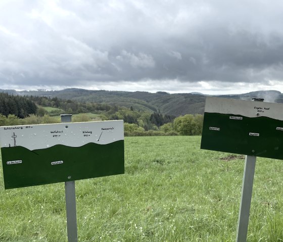 Weite Ausblick in die Eifel, Traumpfädchen Wacholderblick, © Eifel Tourismus GmbH