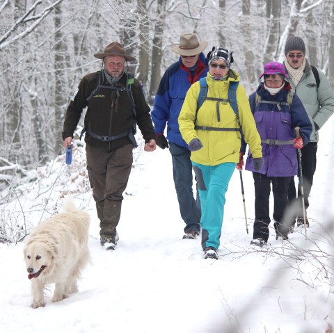 Rangerwanderung im Schnee