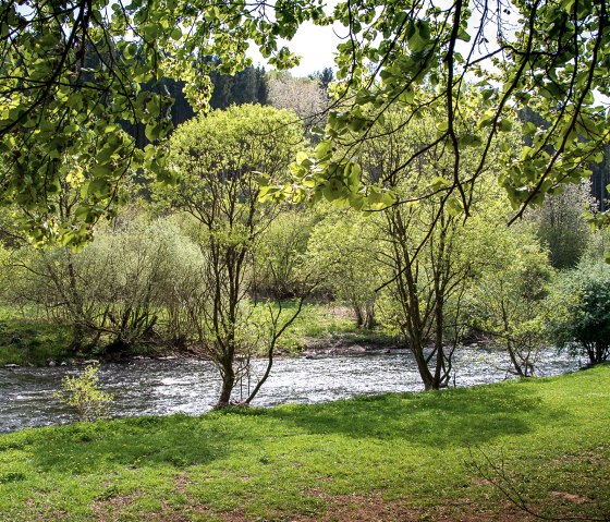 Der Bitburger LandGang in Malberg führt vorbei an der Kyll, © Tourist-Information Bitburger Land_Monika Mayer