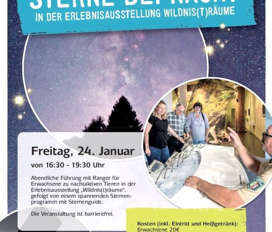 Plakat Sterne bei Nacht