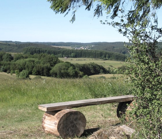 Weitblick zwischen Steinborn und Neroth, © Martina Schenk