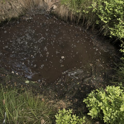 Kohlendioxidquelle Gelenberg, © Natur- und Geopark Vulkaneifel, KP Kappest