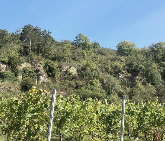 Vignes, © Felsenland Südeifel Tourismus GmbH, Anna Carina Krebs