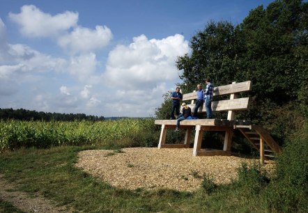 Die XXL-Baumelbank in Ditscheid, © Foto: Laura Rinneburger, Quelle: Touristik-Büro Vordereifel