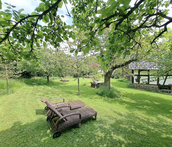 idyllischer Garten mit Obstbäumen, © Pannhausen