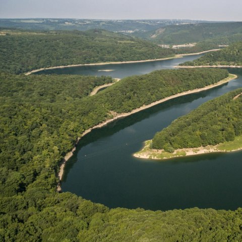 Blick auf den Urftsee im Nationalpark Eifel, © Eifel Tourismus GmbH, D. Ketz