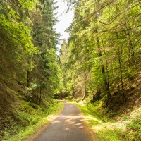 Radweg in der Eifel, ©  Eifel Tourismus GmbH, Dominik Ketz