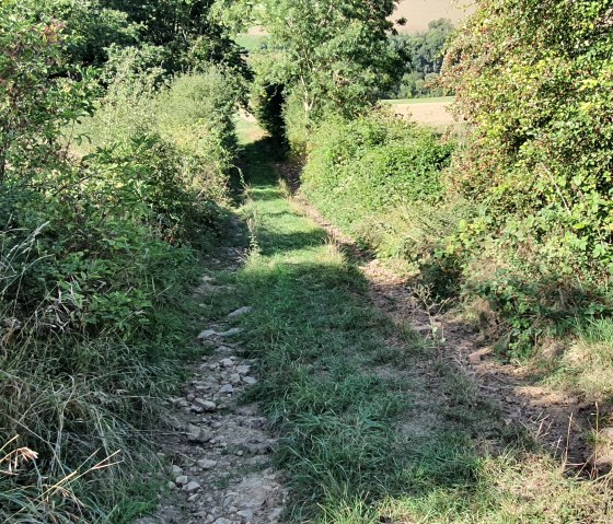 Feld- und Waldweg, © TI BItburger Land - Steffi Wagner