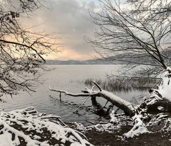 Laacher See, © Vulkanregion Laacher See/Baumann