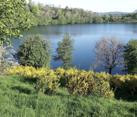 Weinfelder Maar in unmittelbarer Nähe