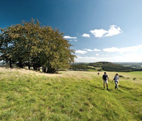 Wanderung in der Nähe von Daun-Waldkönigen, © Eifel Tourismus GmbH - D. Ketz