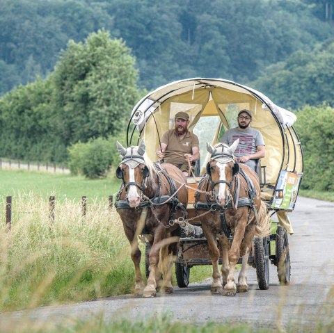 Kutsschfahrt Nengshof, © Carsten Lenz, Nengshof