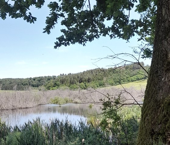 Naturschutzgebiet Mürmes