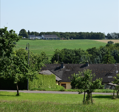 Blick von der terrasse