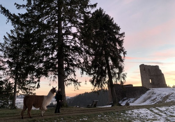 Glühweinwanderung zur Burgruine Schönecken