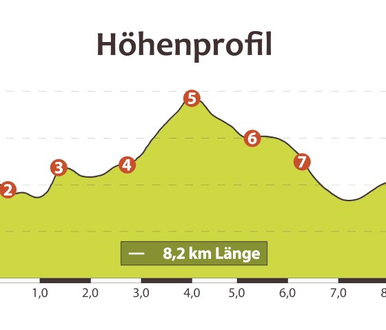 Höhenprofil Wanderung, © GesundLand Vulkaneifel GmbH