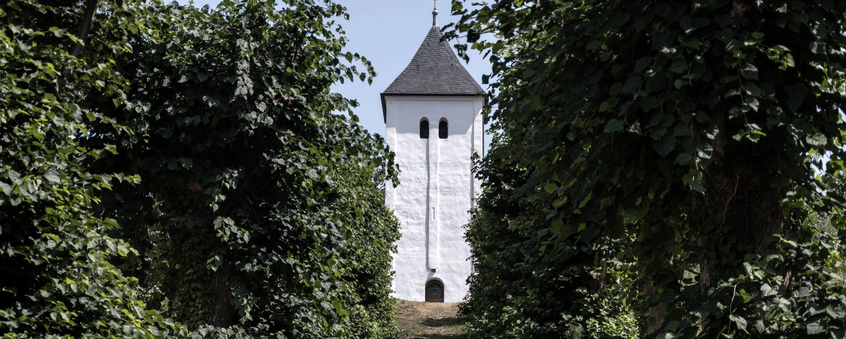Allee Swister Turm, EifelSpur zwischen Ville und Eifel, © Nordeifel Tourismus GmbH