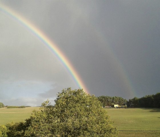 nach dem Regen....