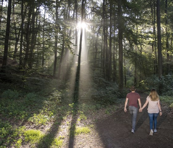 Spaziergang im Wald, © Vulkanregion Laacher See/Klaus Peter Kappest