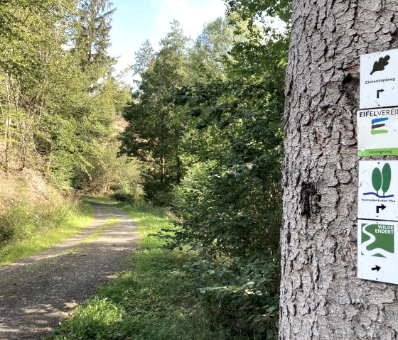 Wegweiser auf der Tour, © EifelWohl-GesundErleben/Tanja Otto