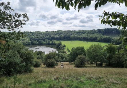 Immerather Maar