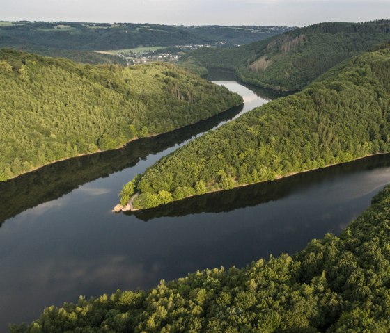 Blick in den Nationalpark Eifel und Urfttalsperre, © Eifel Tourismus GmbH, D. Ketz