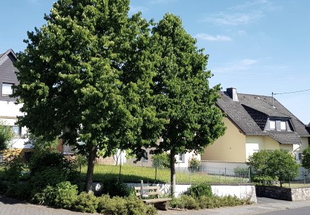 Ortsgemeinde Weiler, © Foto: Svenja Schulze-Entrup, Quelle: Touristik-Büro Vordereifel