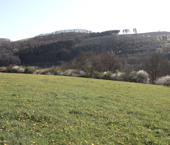 Wanderweg 87 bei Waxweiler, © Tourist-Info Islek