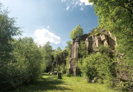 Vulkanparkstation Mayener Grubenfeld, Felswand, © Rheinland-Pfalz Tourismus GmbH, D. Ketz