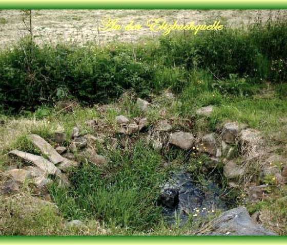 kl Spaziergang durch pure Natur zur Eltzbachquell