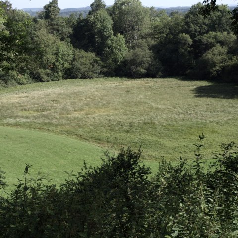 Das Hinkelsmaar, © Kappest