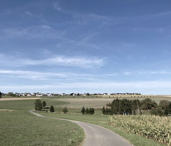 Landschaft Lutzerath-Driesch, © GesundLand Vulkaneifel