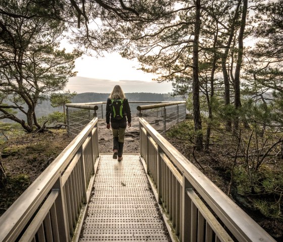 Eingerahmt vom Bäumen am Aussichtspunkt Gaisley, © Eifel Tourismus GmbH, D. Ketz