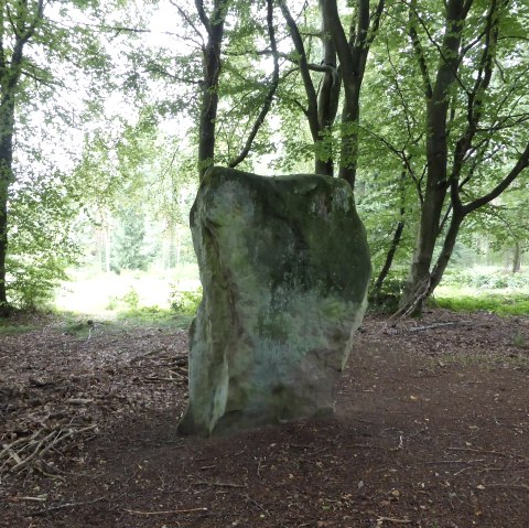 Druidenstein Bollendorf von der "Rückseite", © Elke Wagner