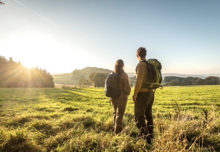 Herbstsonne beim Wandern rund um den Hochkelberg, © Eifel Tourismus GmbH, D. Ketz