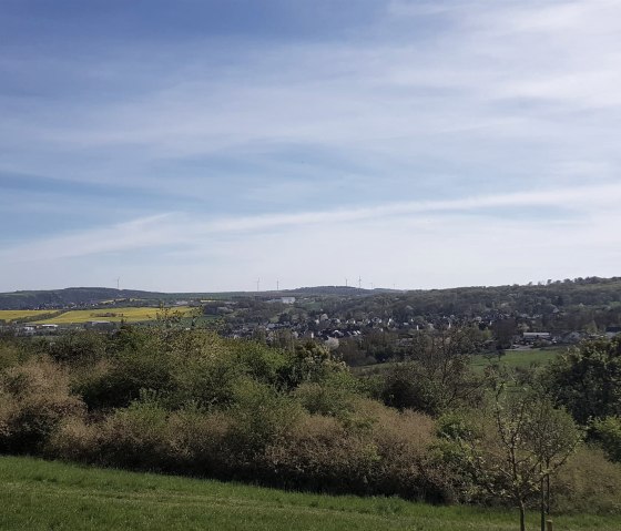 Ausblick über die Streuobstwiesen, © Foto: Svenja Schulze-Entrup, Quelle: Touristik-Büro Vordereifel