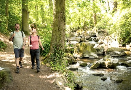 Wandern durch den Rauscherpark, © Eifel Tourismus GmbH/Dominik Ketz