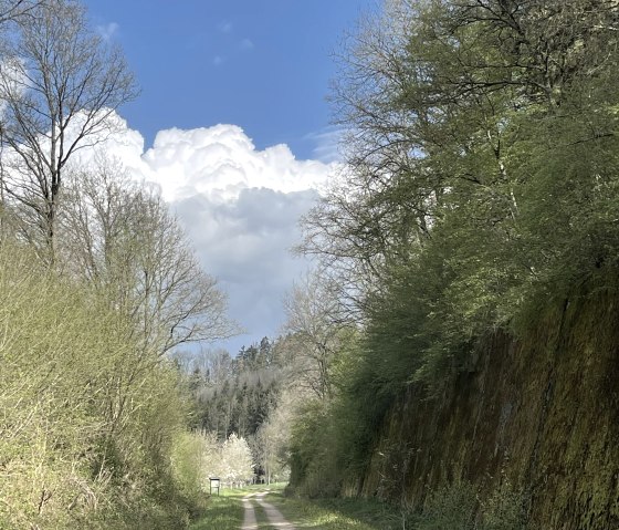 Ahrradweg zwischen Antweiler und Müsch