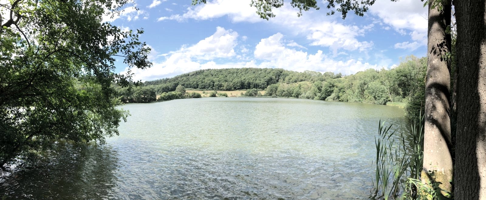 Immerather Maar, © GesundLand Vulkaneifel