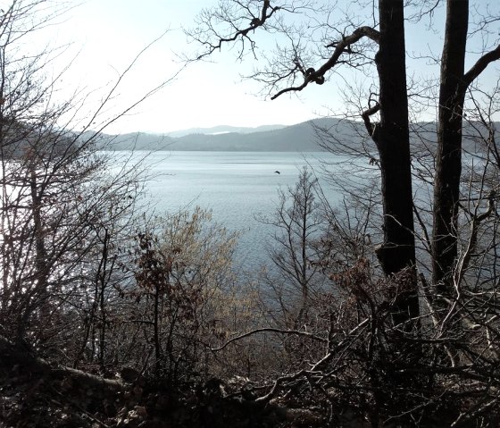 Winterspaziergang um den Laacher See