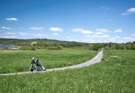 Weg am Jungfernweiher Ulmen, © Natur- und Geopark Vulkaneifel