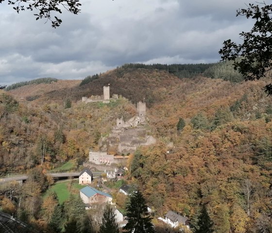 Manderscheider Burgen